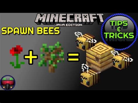 minecraft jenny bee|bee spawn locations reddit.